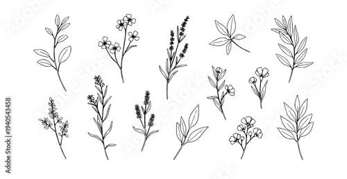Luxury botanical wildflower line art elegant leaves floral vector for wedding invitation design