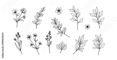 Luxury botanical wildflower line art elegant leaves floral vector for wedding invitation design