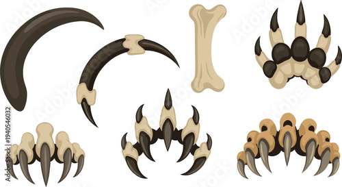 Set of Prehistoric Animal Bone and Sharp Claw Illustrations Including Raptor Talons and Predatory Tooth for Paleontology Design.