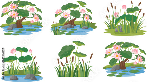 Six vibrant of lily pads and pink water lilies growing in small ponds with green grass and rocks