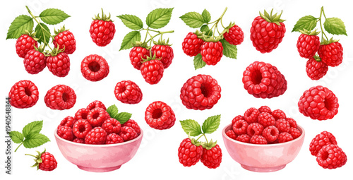A charming watercolor collection of raspberries with green leaves, branches, and bowls of berries for botanical fruit illustrations and fresh summer food design.