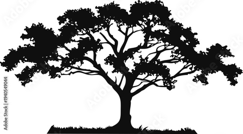 Black silhouette of a tree on white background