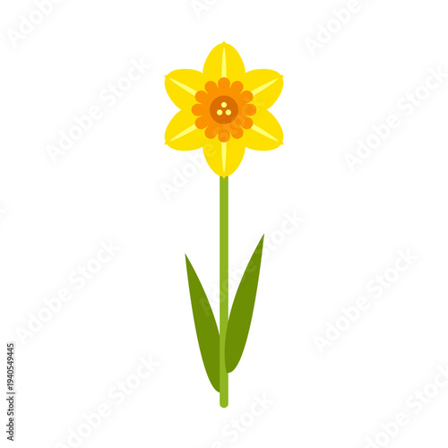 Yellow daffodil flower isolated on white background. Vector illustration. Simple flat icon of single spring flower.
