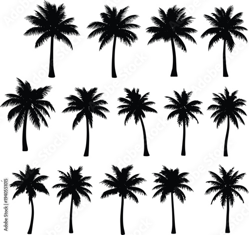 Palm tree silhouette collection set isolated on white background, tropical coconut trees black vector icons for summer beach design