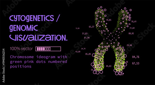 Vibrant X-shaped chromosome ideogram made of green dots with pink outlines and numbered labels on dark backdrop. Conceptual vector illustration for cytogenetics and genomic visualization subjects.