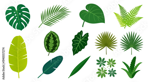 Collection of various green tropical leaves.