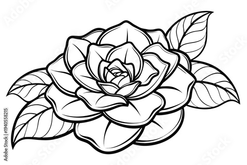 coloring page line art the camellia flower black vector