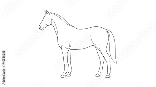 Elegant continuous line art drawing of a majestic horse in profile, showcasing its graceful form and equine beauty, perfect for various design projects