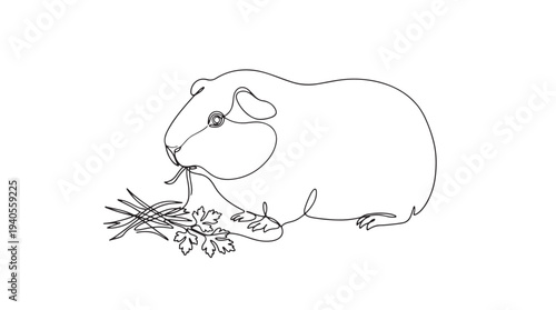 Single Line Drawing of a Guinea Pig Eating Hay, Minimalist Vector Illustration of a Cute Rodent
