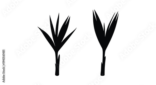 Two stylized plant shapes depicted as a striking black silhouette