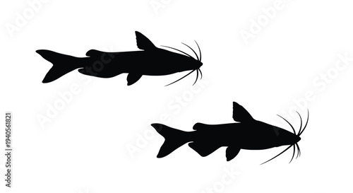 Two black silhouettes of catfish swimming a minimalist illustration silhouette