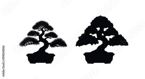 Two bonsai trees in black showcasing elegant forms a striking silhouette