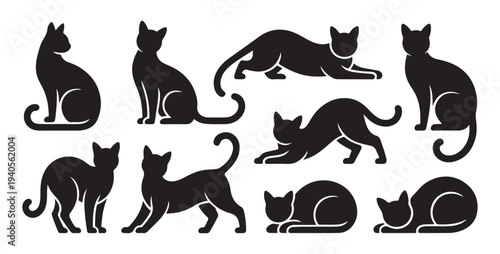 Collection of black cat silhouettes in various sitting, stretching, and lying poses on white background