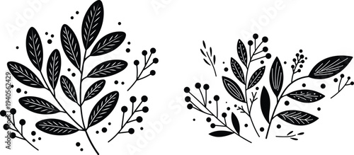 Black and white illustration of two floral branches with leaves and berries on white background