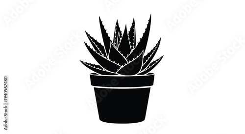 A striking aloe vera plant in a pot a dark silhouette