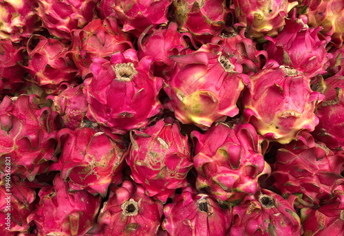 dragon fruit background