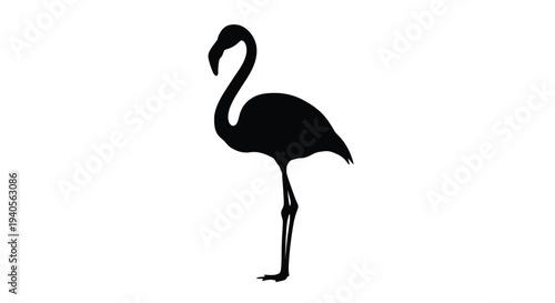 Elegant flamingo standing gracefully a striking black silhouette
