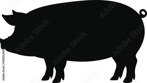 Adventurous traveler standing on mountain peak at sunrise, enjoying scenic nature view, outdoor wilderness exploration, successful achievement, high quality photography.