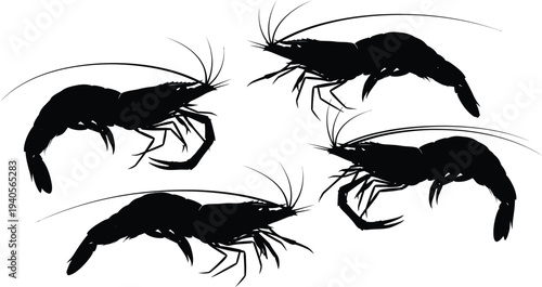 Four black crayfish arranged in a circular pattern