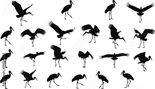 Black stork silhouettes in various flying and standing poses, elegant bird shapes for wildlife design, nature vector icons on white.