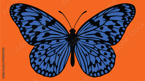 Vibrant Blue Butterfly with Intricate Patterns on Orange Background.