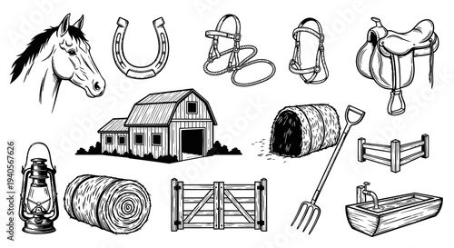 Farm Life Horse Breeding and Equestrian Equipment Vector