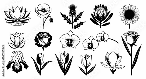 Various Garden and Exotic Flower Species Vector Illustration