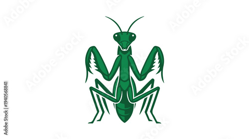 Green Praying Mantis Insect Illustration.