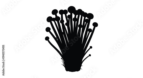 Cluster of mushrooms depicted in a striking black silhouette