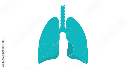 Stylized turquoise lungs illustration with a striking silhouette
