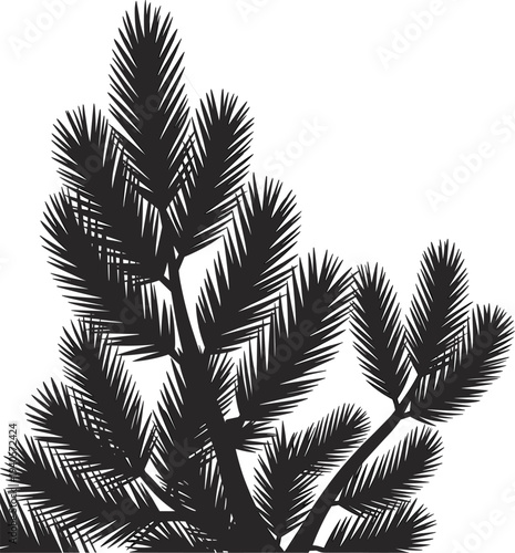 Pine tree branch silhouette, evergreen conifer foliage illustration, forest nature plant design, pine needles botanical element, natural woodland concept