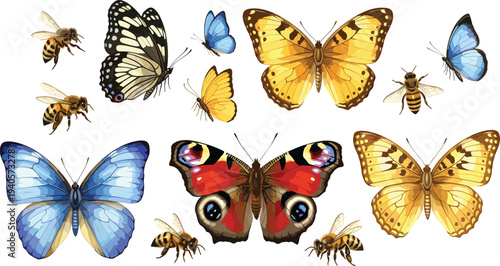 Butterflies and bees collection, colorful insect wildlife set with detailed wings, nature pollinators illustration, realistic flying insects vector design