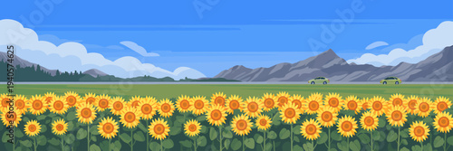 Sunflower field with cars driving on road in distance under blue sky with mountains