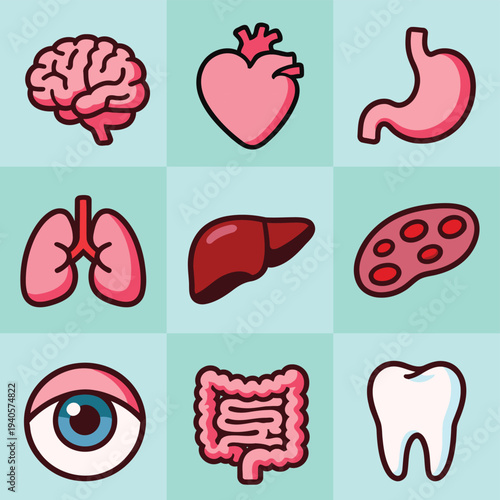 Illustration of human organs including brain, heart, and digestive system viewed from various angles
