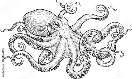 Detailed black and white octopus vector illustration with curled tentacles, suction cups, marine life design, artistic ocean animal drawing concept.