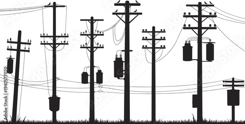 Black and white of utility poles with transformers and birds perched on wires
