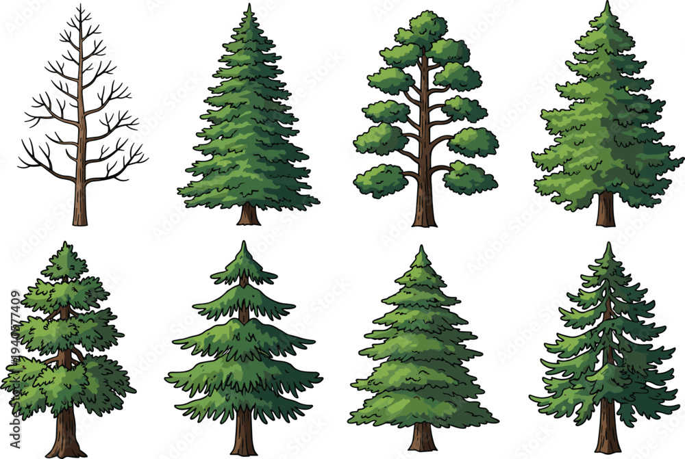 Fototapeta premium Vector tree illustration featuring eight diverse designs including leafless branches, conical evergreens, rounded foliage clusters, and stylized seasonal variations