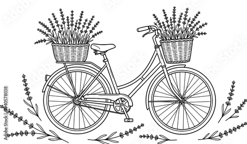 Vintage bicycle with lavender floral baskets minimalist botanical summer greeting card vector