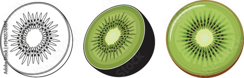 Kiwi fruit slice illustration set, fresh green kiwi cross section with seeds, healthy tropical fruit vector design