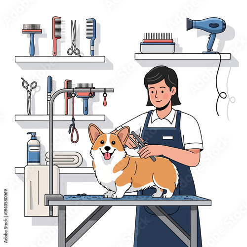 Professional groomer styling a happy corgi dog on a grooming table with tools and equipment