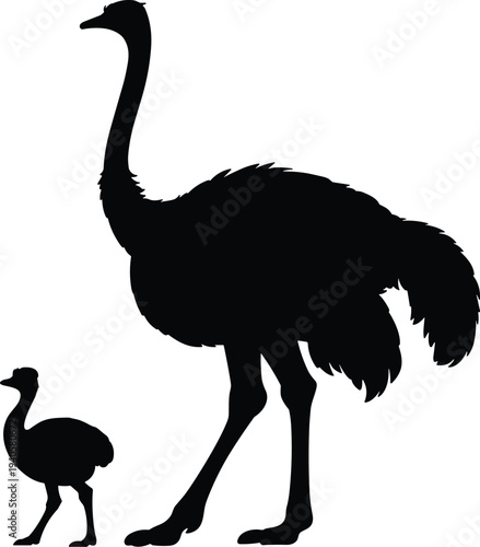 Ostrich and chick silhouette vector illustration, African wildlife bird with baby, safari animal icon for nature and zoology design