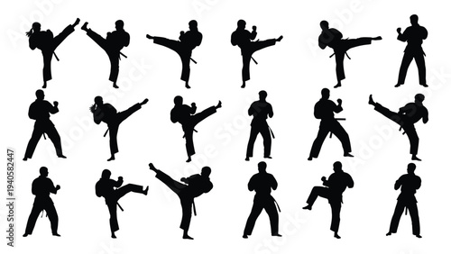 A group of people performing various martial arts kicks