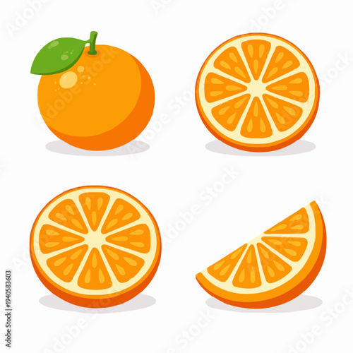 Orange Fruit Set Illustration