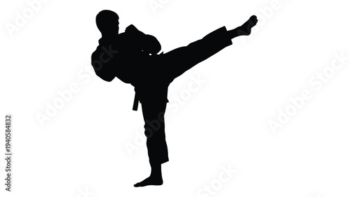 A person in a martial arts stance with one leg raised