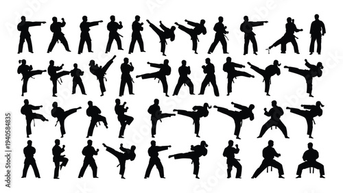 Various martial arts poses and movements are shown