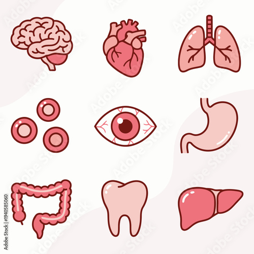Illustration of human organs including brain, heart, and digestive system viewed from a medical perspective
