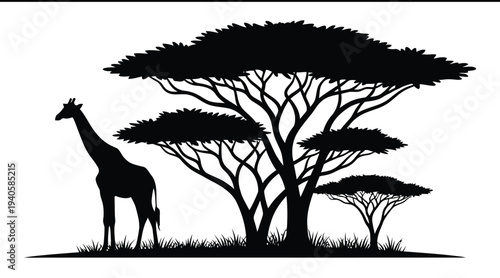 A giraffe standing under trees in a savannah landscape silhouette