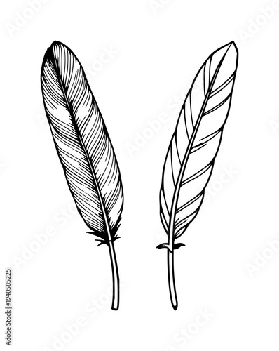 Quill set with single feather quill black line art design featuring writing instrument, ink, transcription with black and white