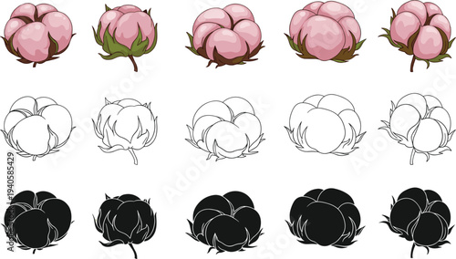 Vector cotton boll illustration featuring colored, outline, and silhouette designs for botanical, textile, and educational themes