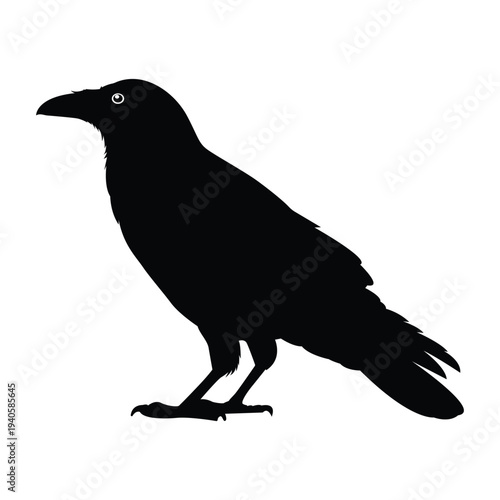 Black crow bird silhouette vector illustration isolated on transparent background. Simple raven bird icon design.